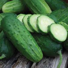 Cucumber Seeds - Pickling - Boston Pickling