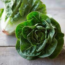 Lettuce Seeds - Romaine - Little Gem