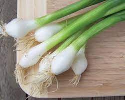 Onion Seeds - Bunching - Tokyo Long White